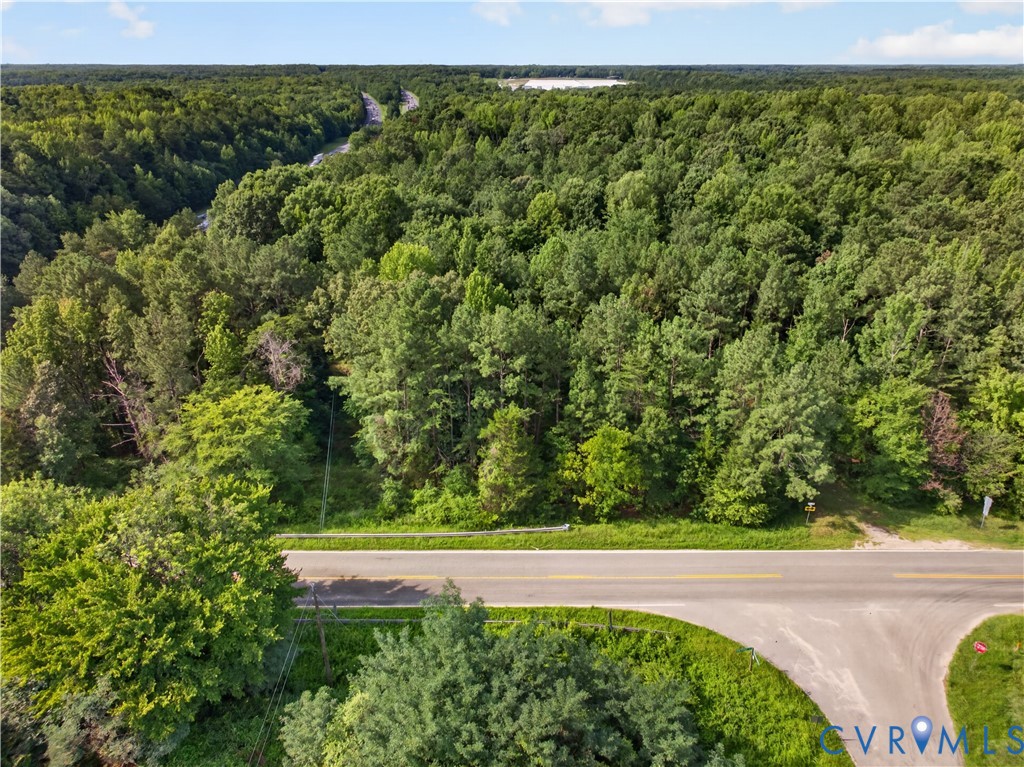 10355 Old Ridge Road Ashland, VA 23005 - Photo 4 of 8 Aerial landscape featuring extensive tree coverage