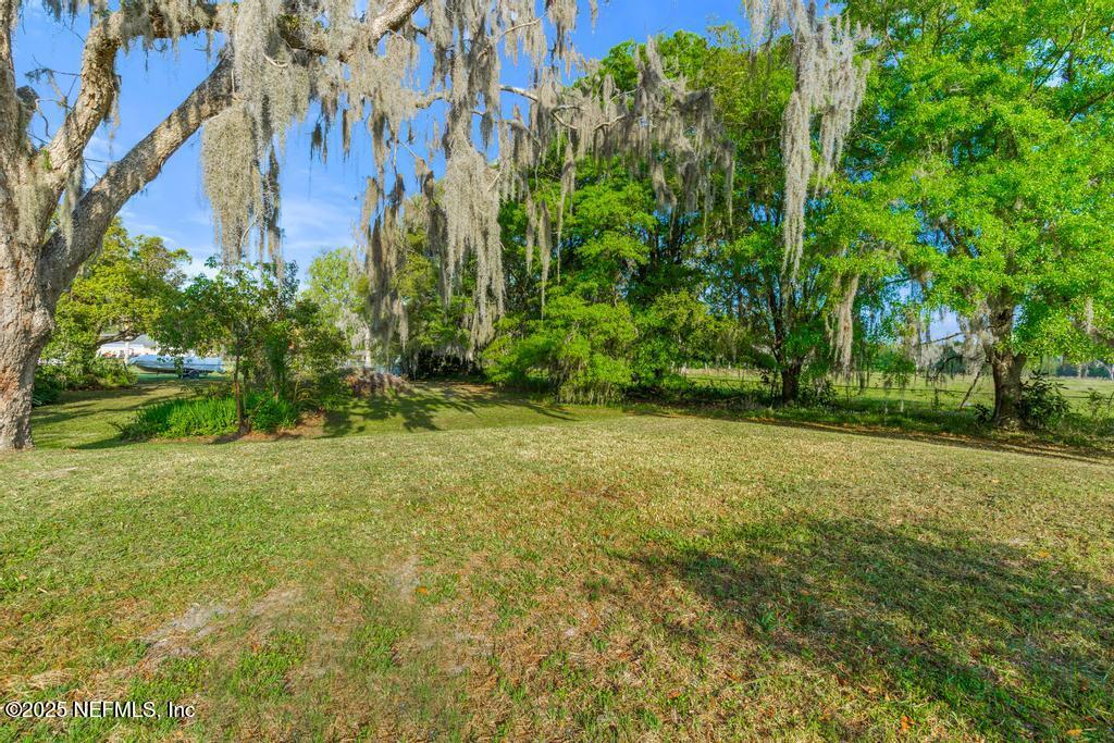 45235 Stratton Road Callahan, FL 32011 - Photo 40 of 44 a view of a yard with a tree