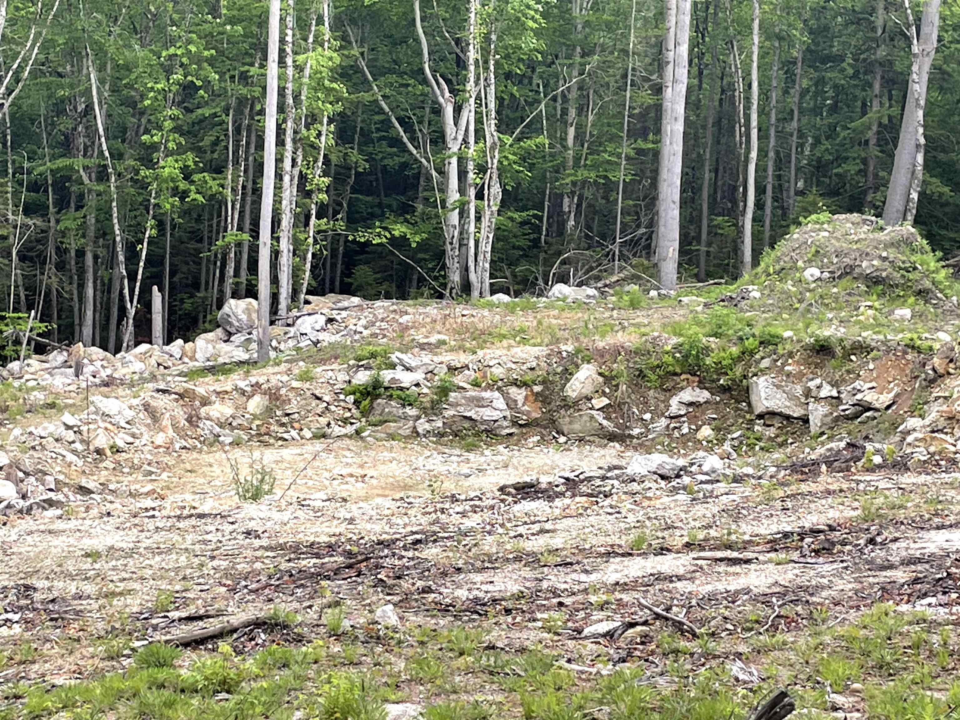 40 Hominy Pot Road New London, NH 03257 - Photo 1 of 10