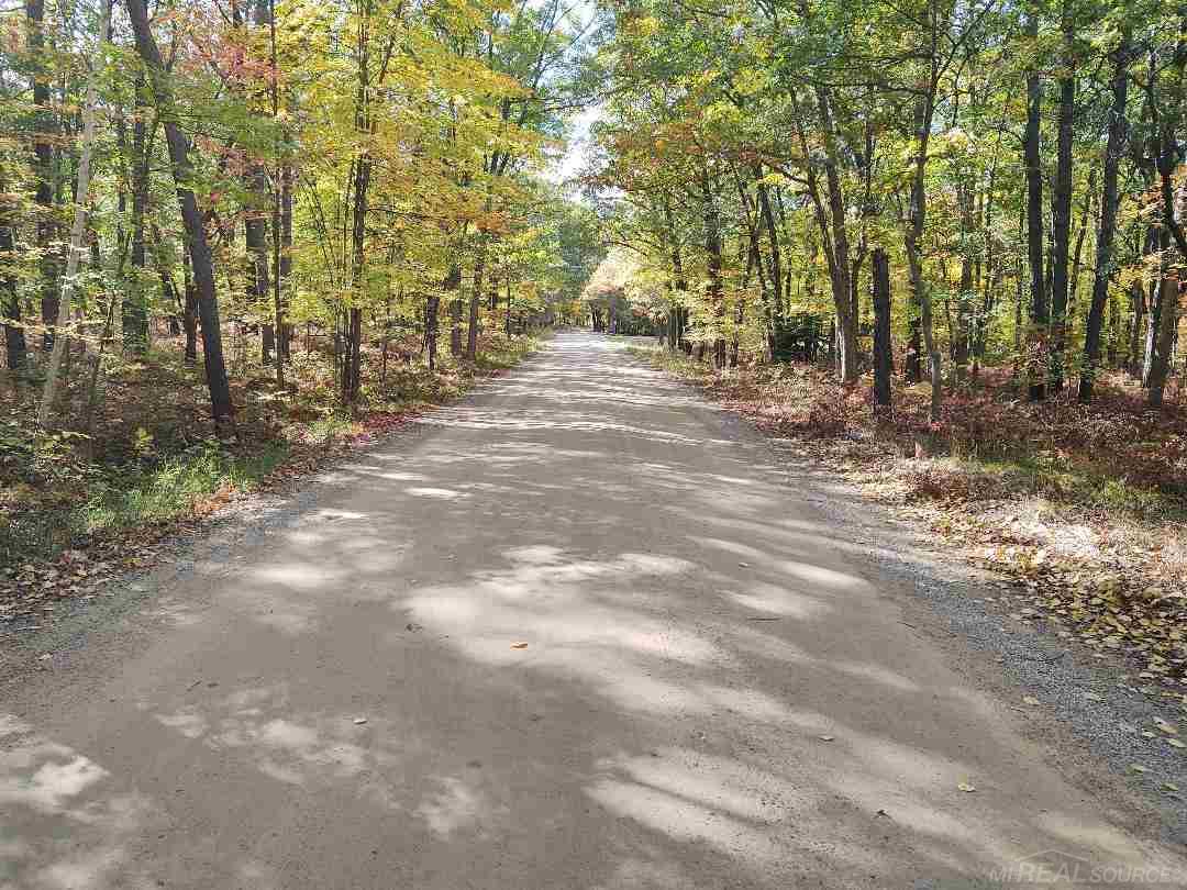 Sand Rd Port Port Austin, MI 48467 - Photo 4 of 5