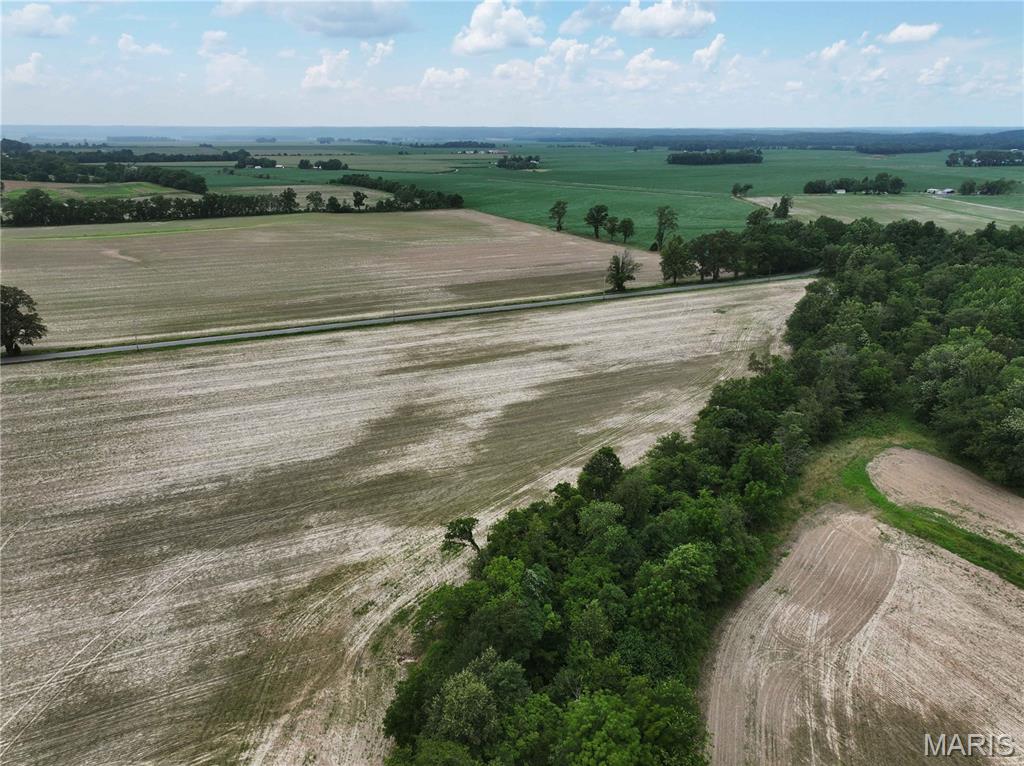 259 County Road 259 Chaffee, MO 63740 - Photo 3 of 12