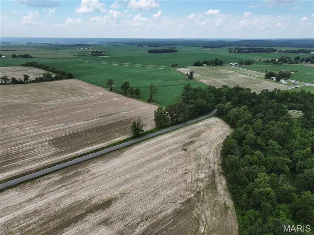 259 County Road 259 Chaffee, MO 63740 - Photo 4 of 12