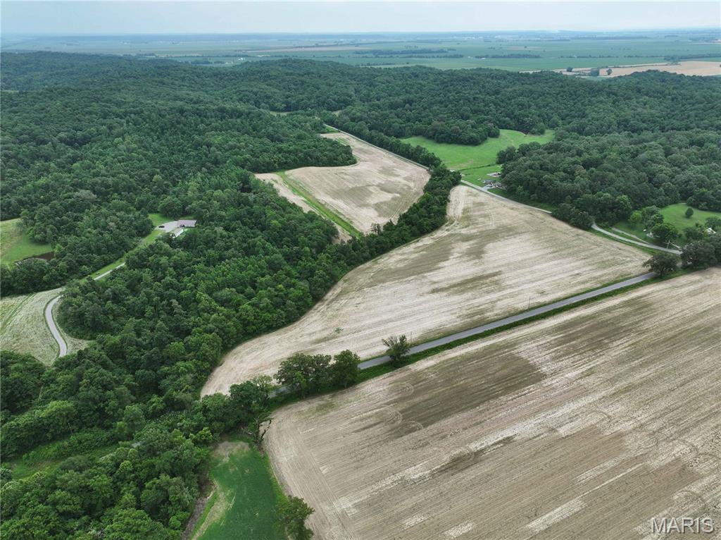 259 County Road 259 Chaffee, MO 63740 - Photo 5 of 12