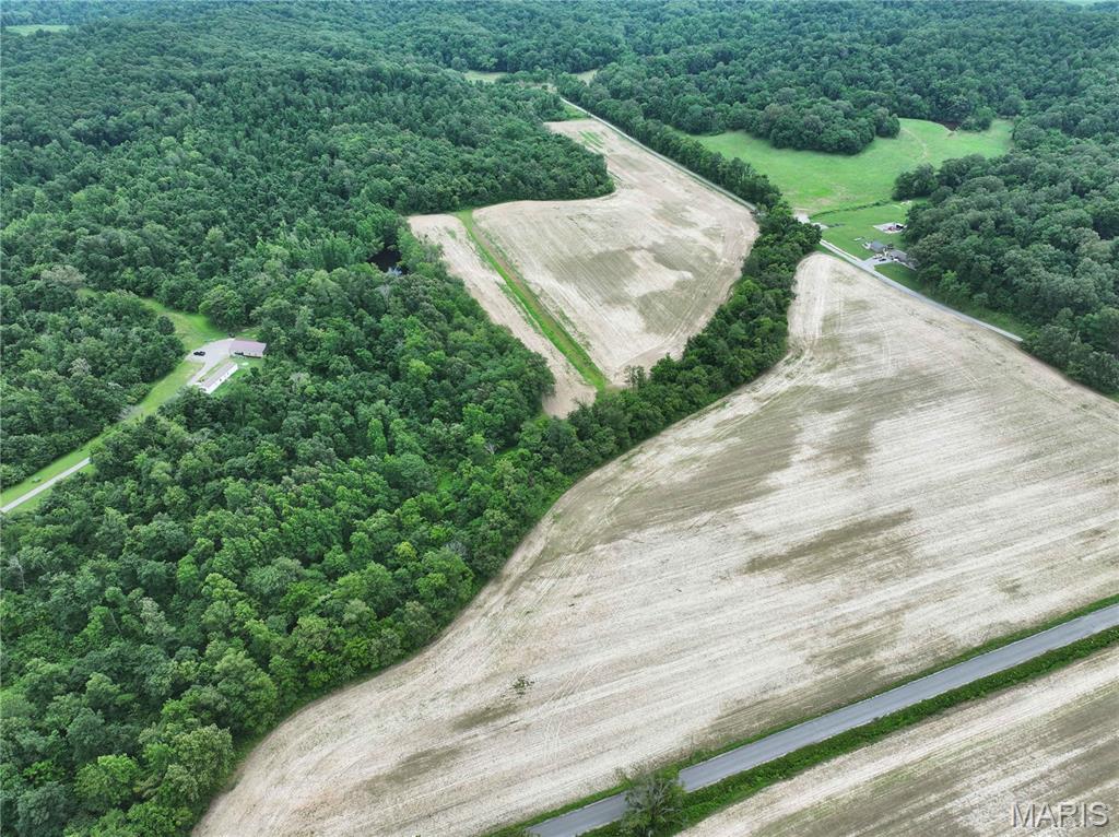 259 County Road 259 Chaffee, MO 63740 - Photo 7 of 12