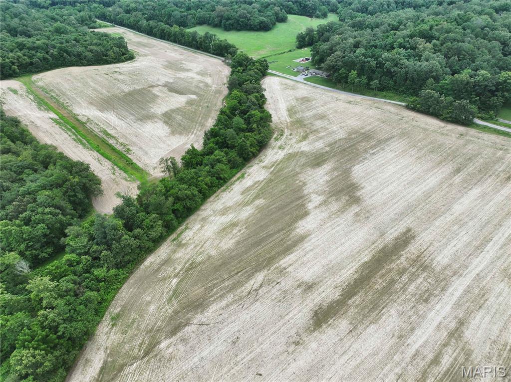 259 County Road 259 Chaffee, MO 63740 - Photo 8 of 12