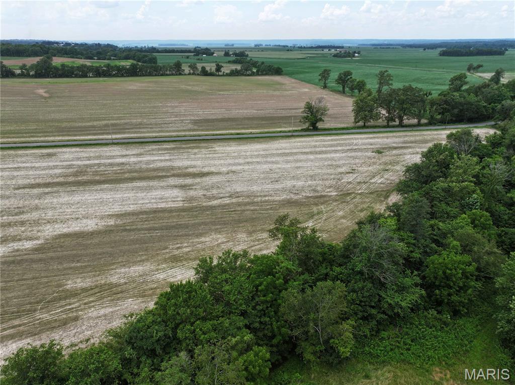 259 County Road 259 Chaffee, MO 63740 - Photo 10 of 12