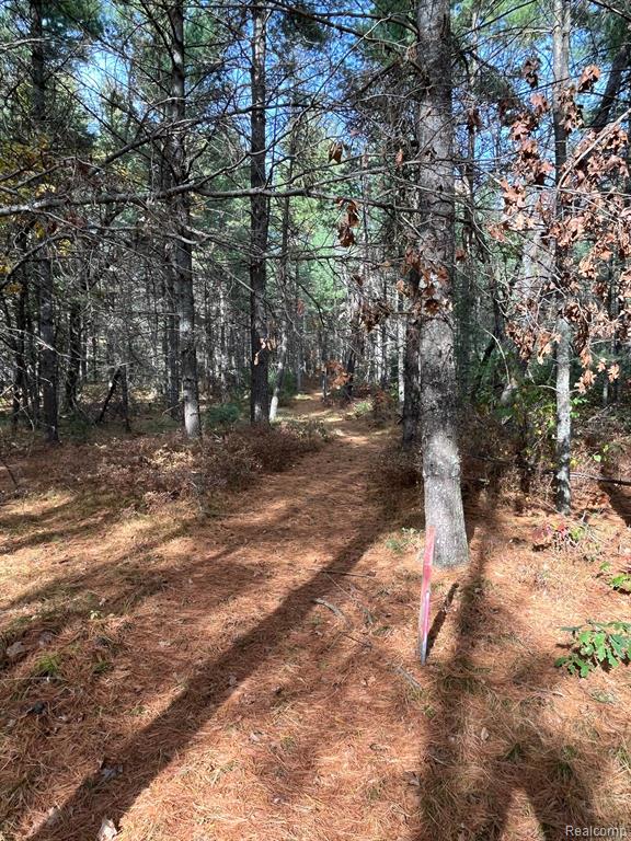 5489 Curtis Road Hale, MI 48739 - Photo 22 of 27