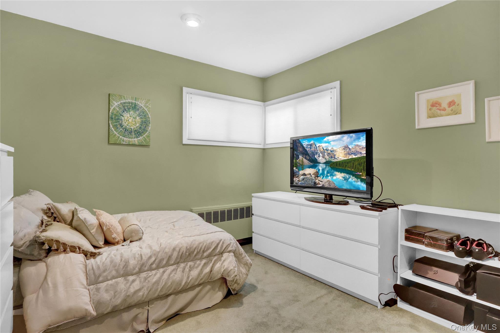 46 Kalda Lane Plainview, NY 11803 - Photo 28 of 30 a bedroom with a bed and a flat screen tv