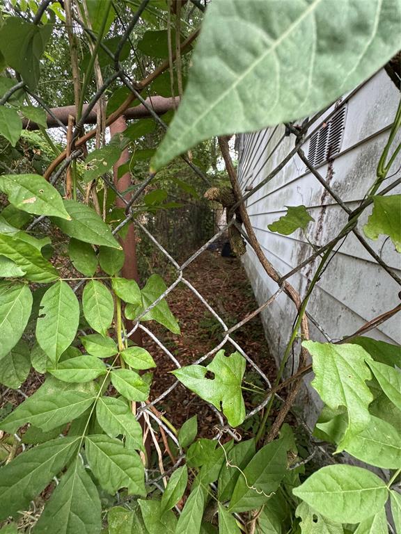 131 Merrick Street Shreveport, LA 71104 - Photo 5 of 10 a backyard of a house