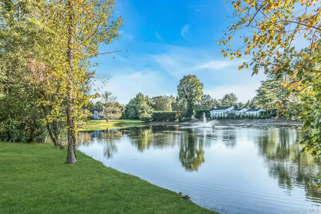a view of a lake with houses in the back