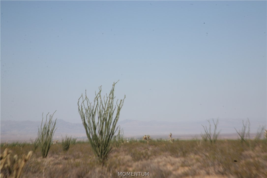 243-15-016 South Custer Road, Unit 3491 Yucca, AZ 86438 - Photo 13 of 61 Gallery Image 13