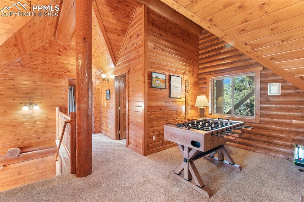 10449 County Road 1 Florissant, CO 80816 - Photo 25 of 36