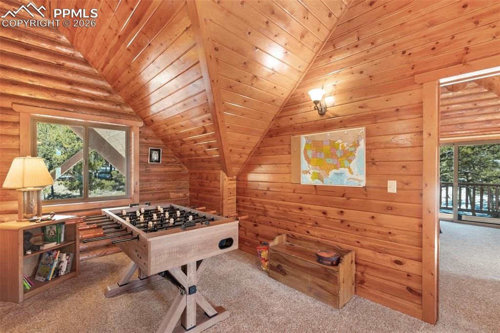 10449 County Road 1 Florissant, CO 80816 - Photo 26 of 36