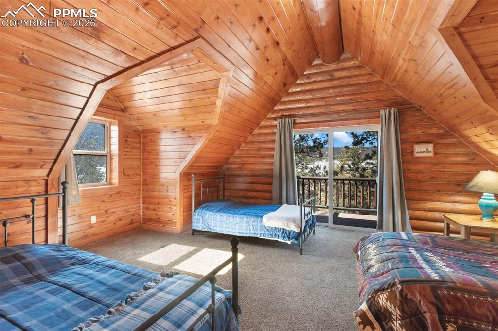 10449 County Road 1 Florissant, CO 80816 - Photo 28 of 36