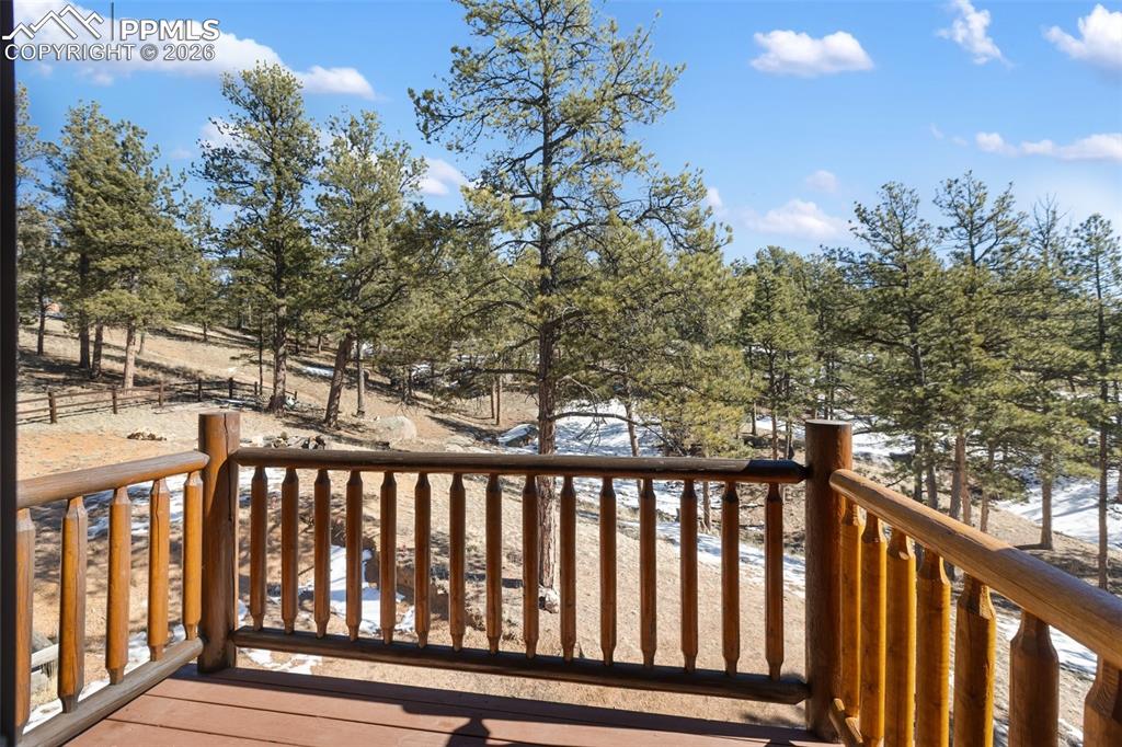 10449 County Road 1 Florissant, CO 80816 - Photo 29 of 36