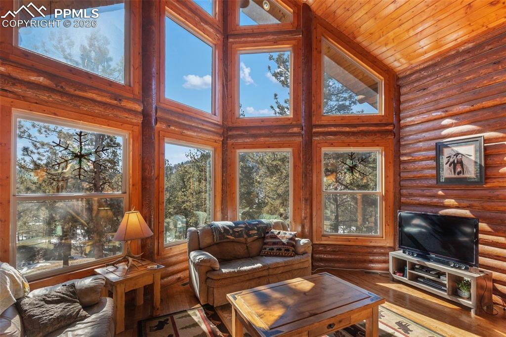 10449 County Road 1 Florissant, CO 80816 - Photo 10 of 36