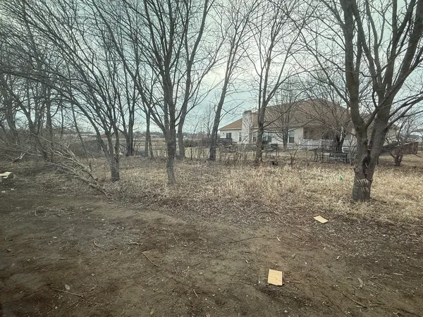a backyard of a house with lots of green space