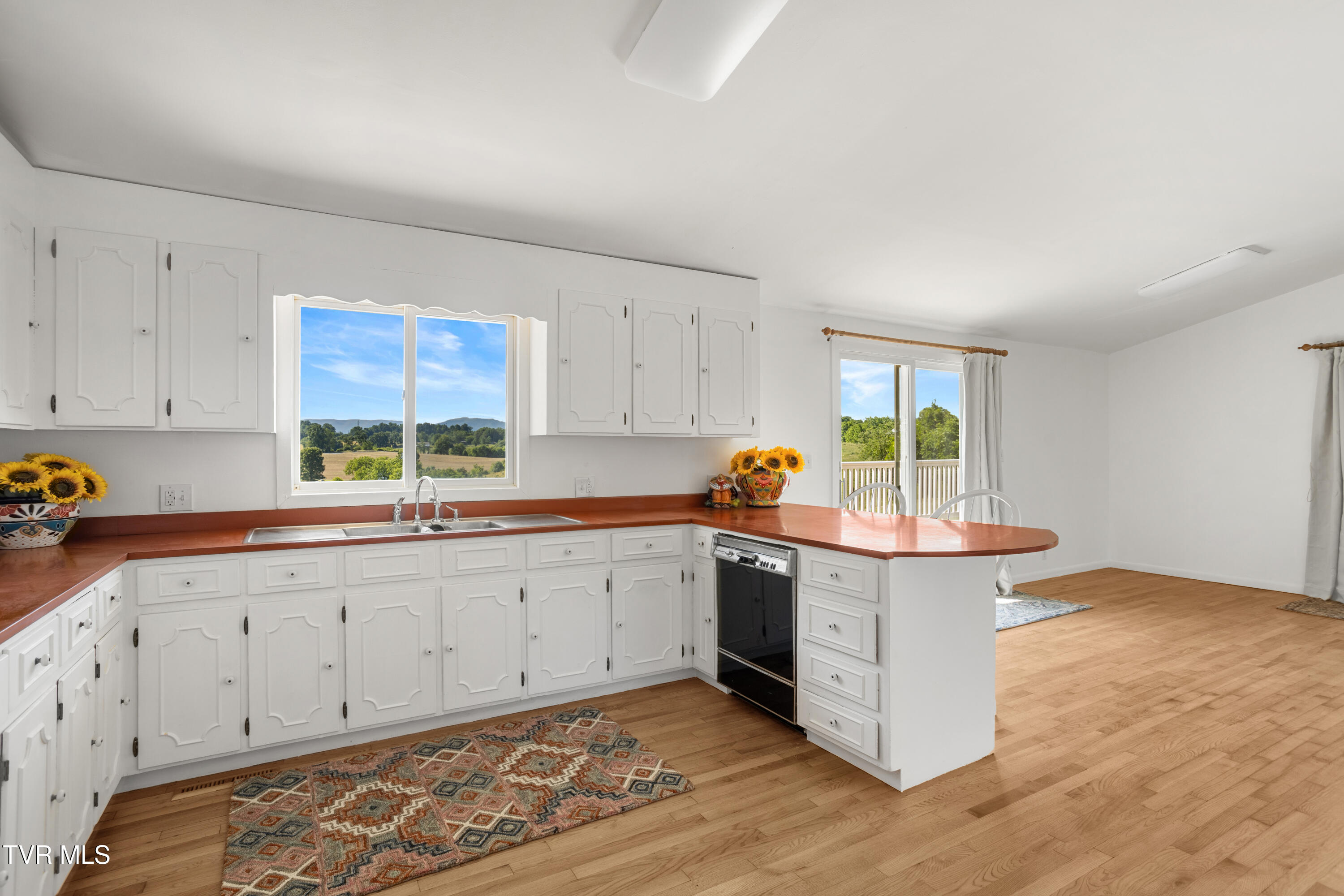 27363 Fudge Road Meadowview, VA 24361 - Photo 23 of 83 177A4344-HDR