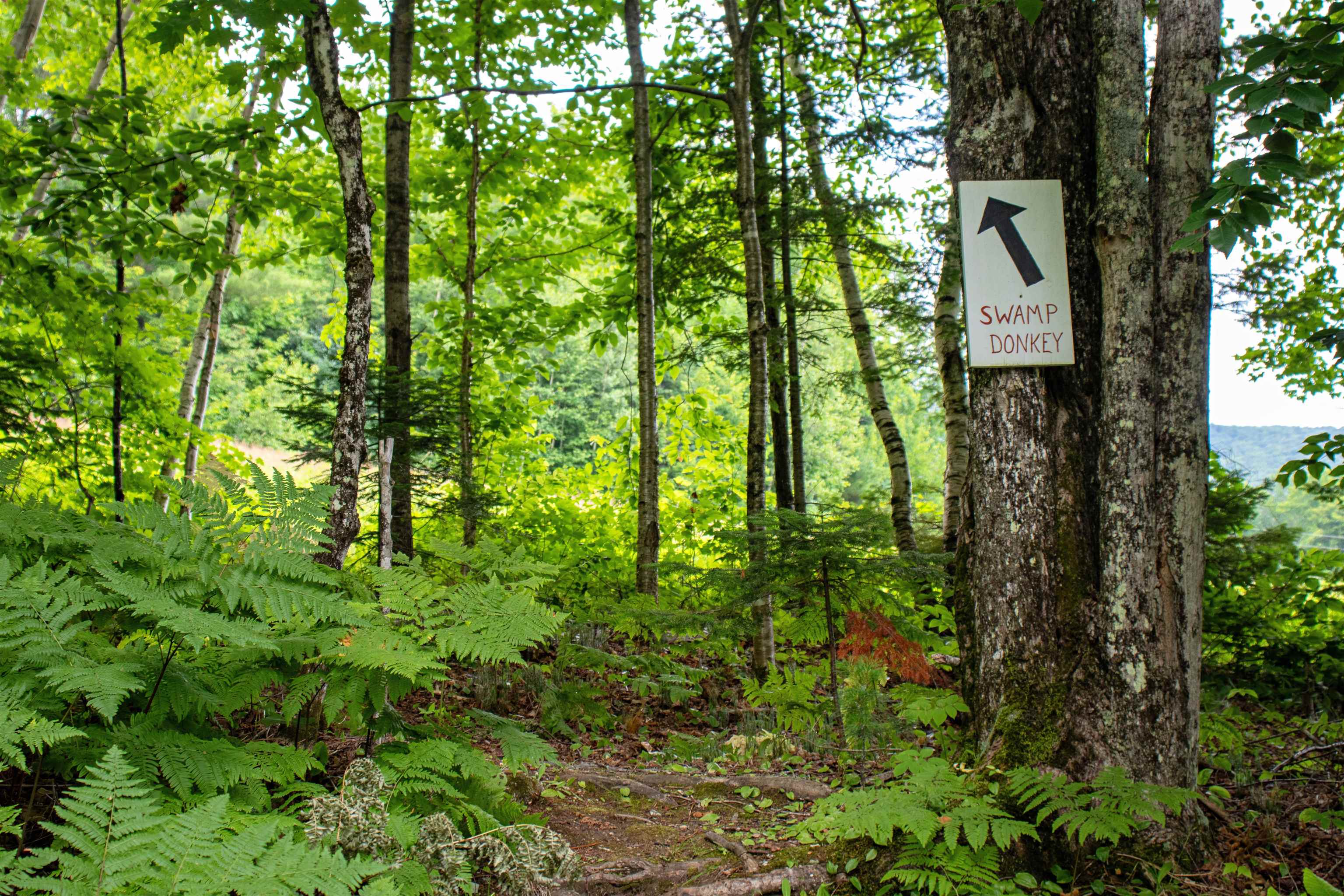 158 Camp Road Burke, VT 05832 - Photo 44 of 60