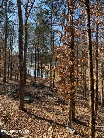 $599,000 | 317 Highland Trace Road, Sharps Chapel, TN 37866