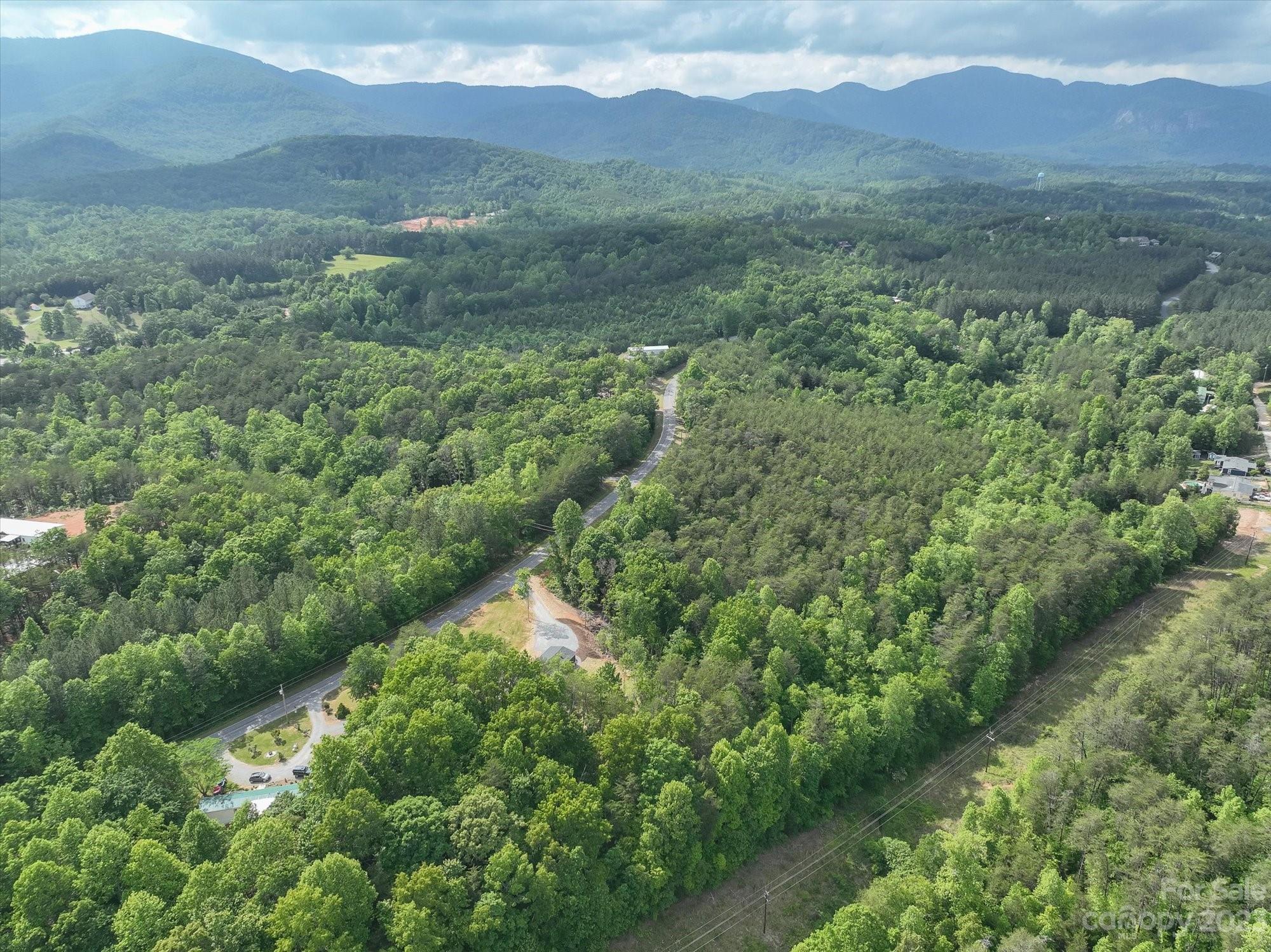 175 King Stepp Road Mill Spring, NC 28756 - Photo 32 of 46 a view of a lush green hillside and a houses