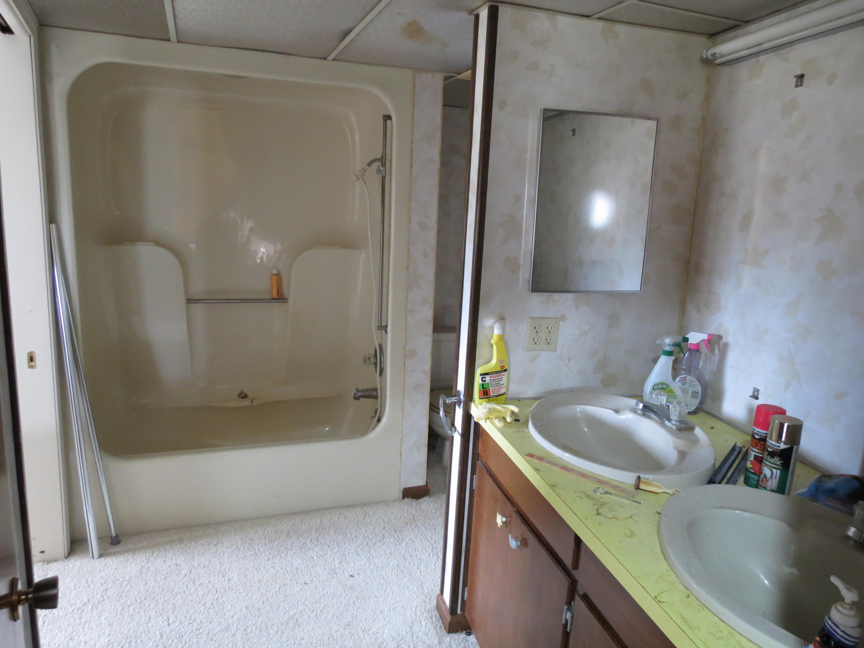 10380 Somervill Road Rives Junction, MI 49277 - Photo 38 of 67 Jack/Jill Bath