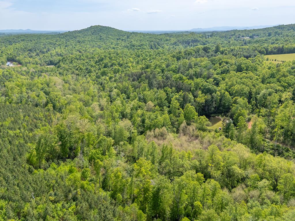 Tbd Ahart Ridge Road, Unit 58 60 61 Ararat, VA 24053 - Photo 49 of 54 Gallery Image 49
