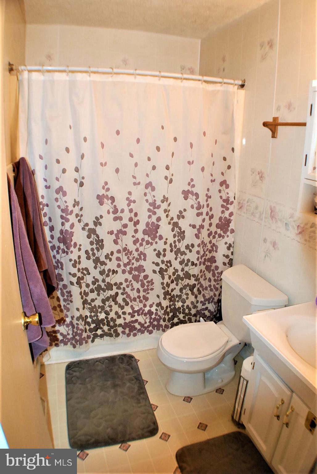 100 Brunswick Road Stephens City, VA 22655 - Photo 12 of 31 Main Bath