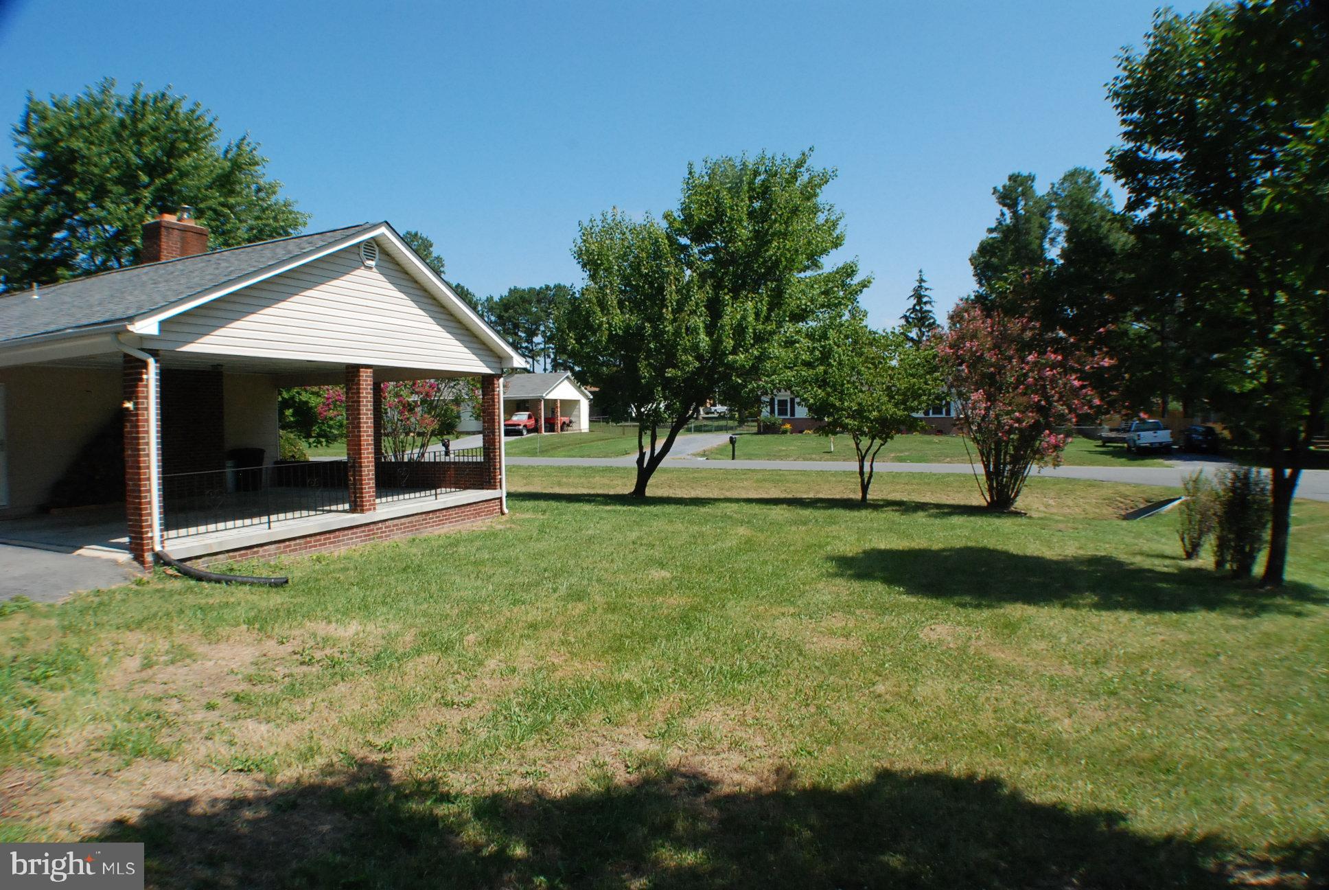 100 Brunswick Road Stephens City, VA 22655 - Photo 29 of 31 Side yard