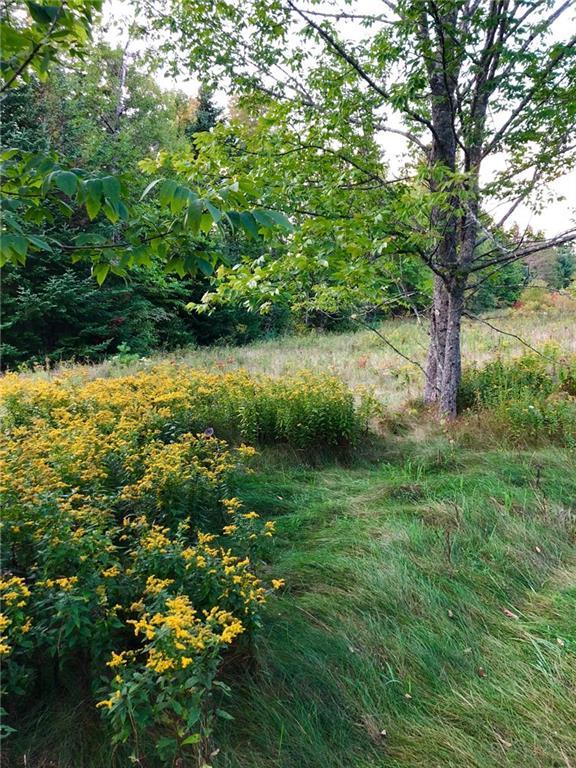 0 Western County Road Blue Hill, ME 04614 - Photo 1 of 5 Photo