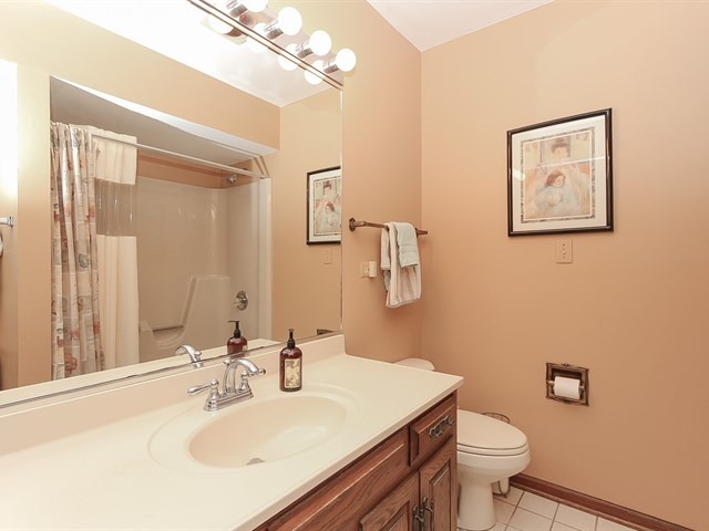 27 Green Ridge Road Elgin, IL 60120 - Photo 14 of 21 a bathroom with a sink vanity mirror and toilet
