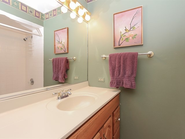 27 Green Ridge Road Elgin, IL 60120 - Photo 16 of 21 a bathroom with a sink and a mirror
