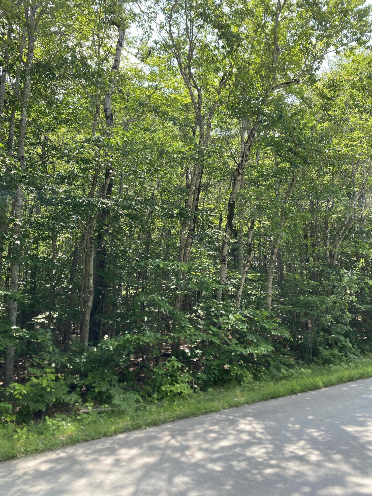 Lot #15 York Road Hermon, ME 04401 - Photo 1 of 3 IMG_2251