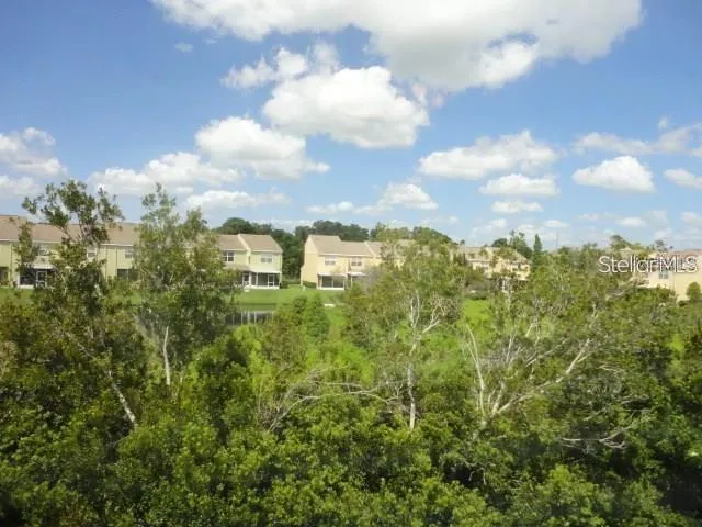 a view of a bunch of trees