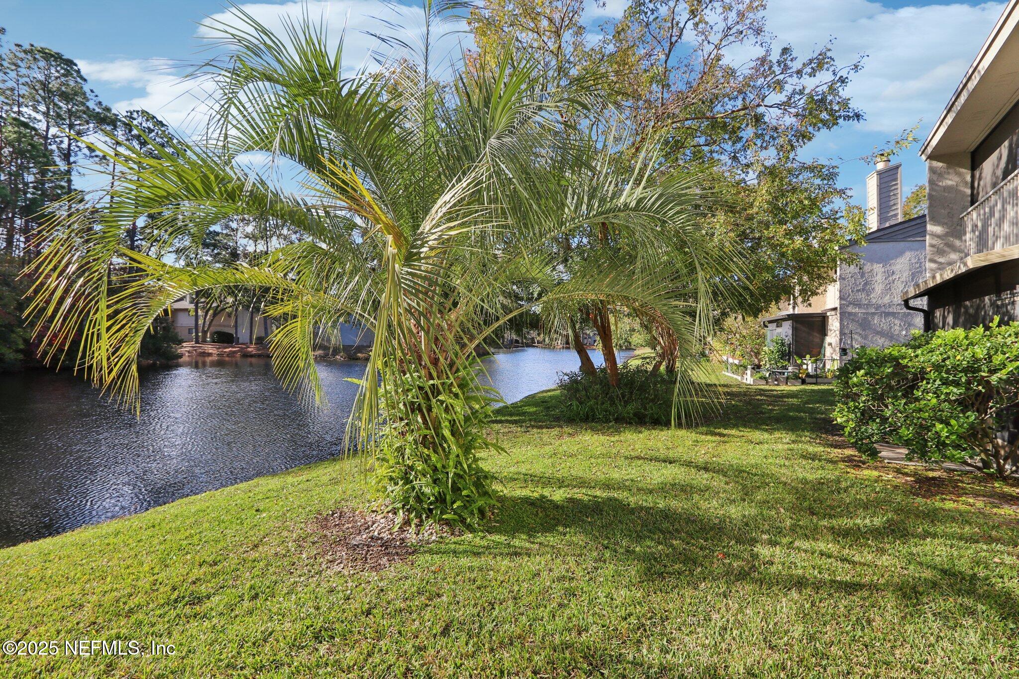 3801 Crown Point Road, Unit 2212 Jacksonville, FL 32257 - Photo 21 of 25 a view of a yard in front of the house