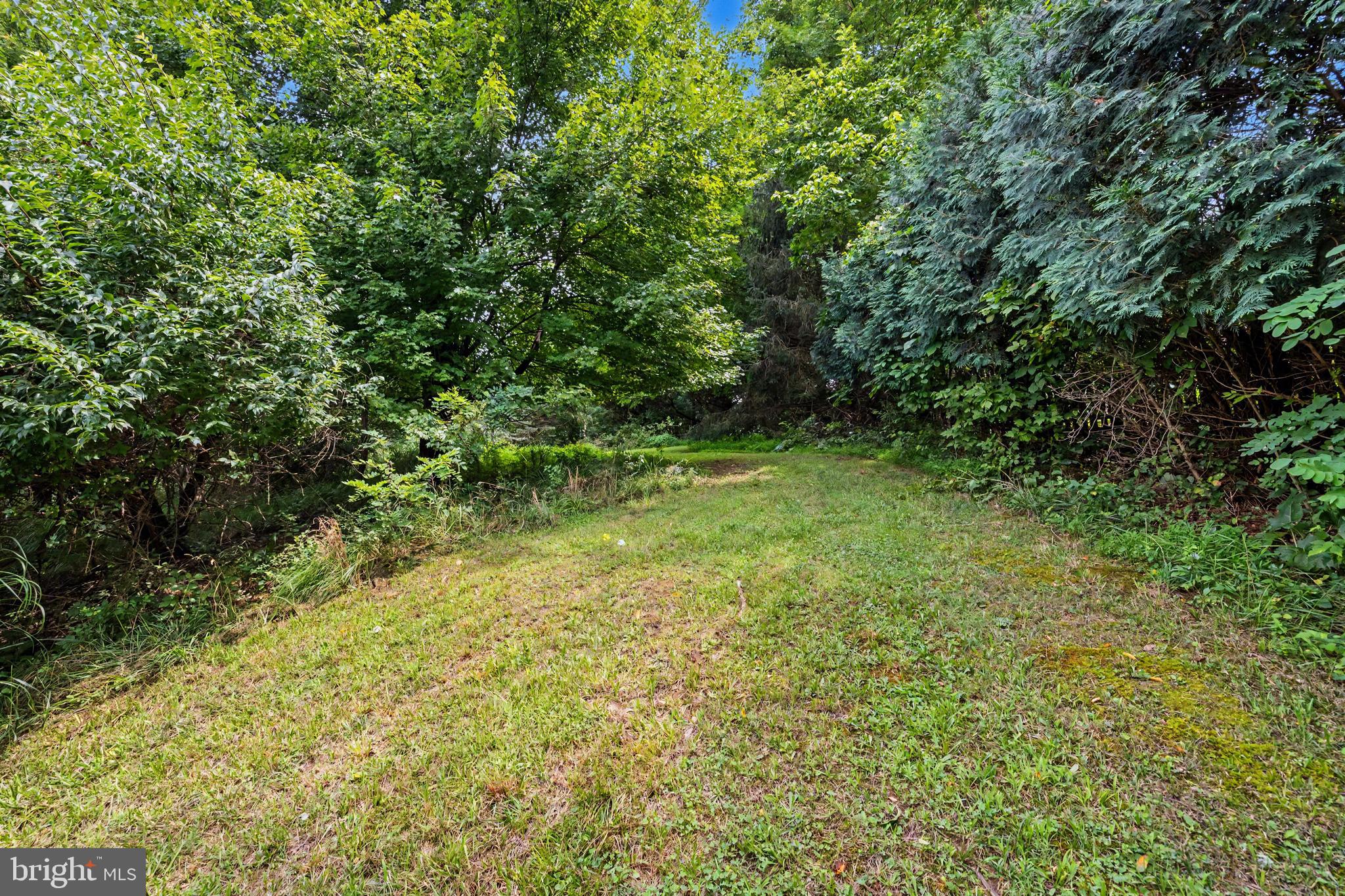 186 High Knob Road Front Royal, VA 22630 - Photo 42 of 66 Gallery Image 42
