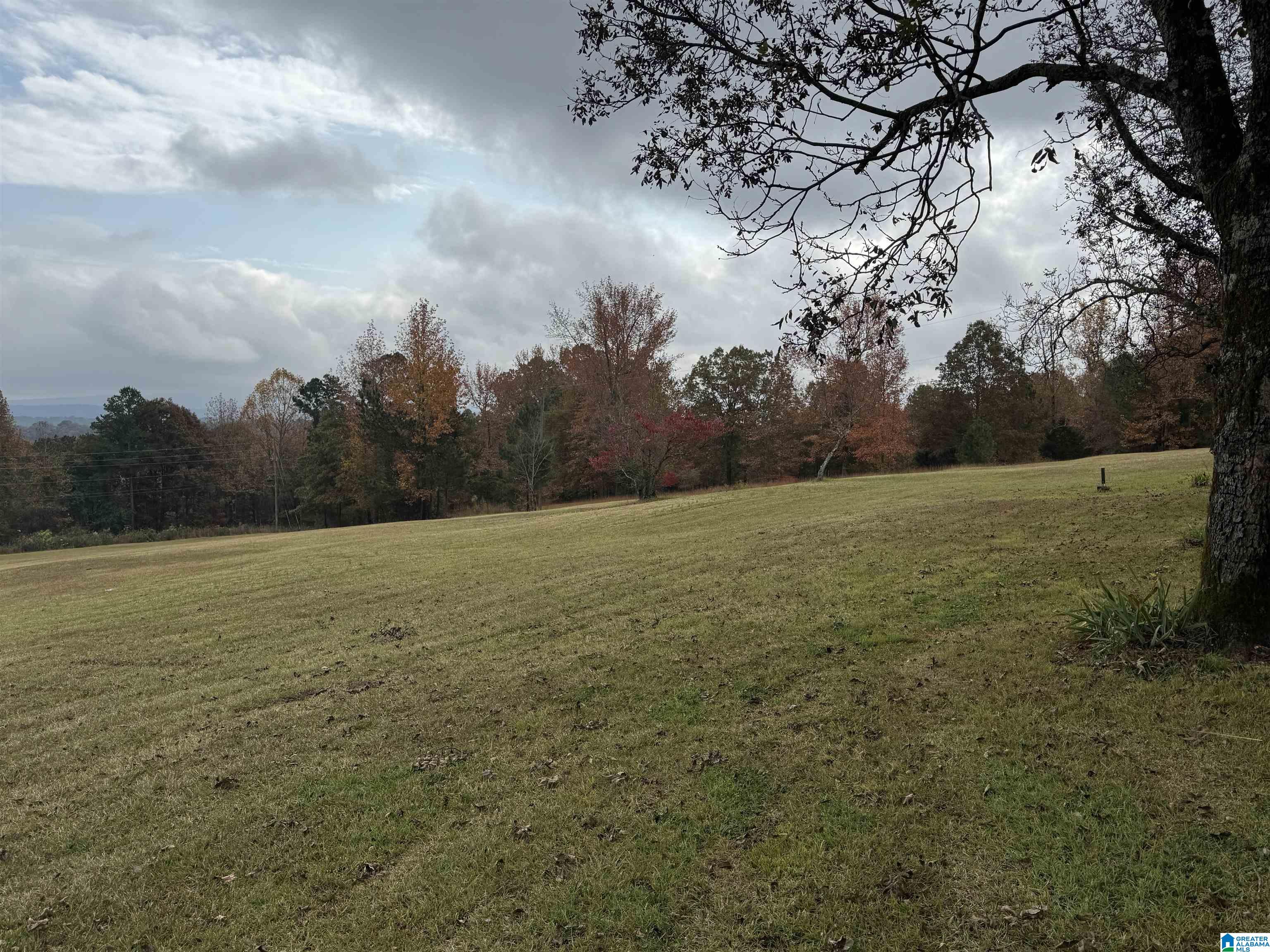 1114 Blackjack Road Trussville, AL 35173 - Photo 4 of 16