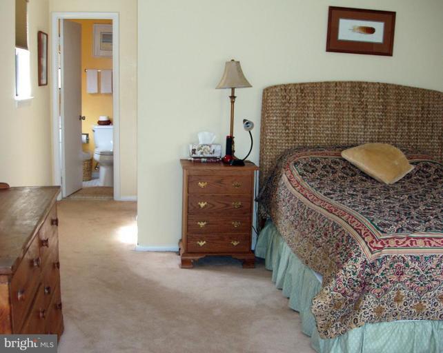 2105 Cabots Point Lane Reston, VA 20191 - Photo 15 of 20 Master Bedroom