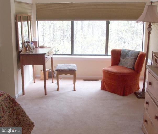 2105 Cabots Point Lane Reston, VA 20191 - Photo 16 of 20 Master Bedroom #2