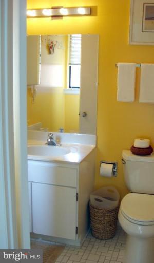 2105 Cabots Point Lane Reston, VA 20191 - Photo 17 of 20 Master Bath