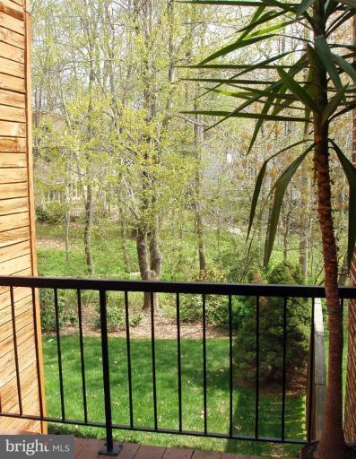 2105 Cabots Point Lane Reston, VA 20191 - Photo 20 of 20 Deck - View from