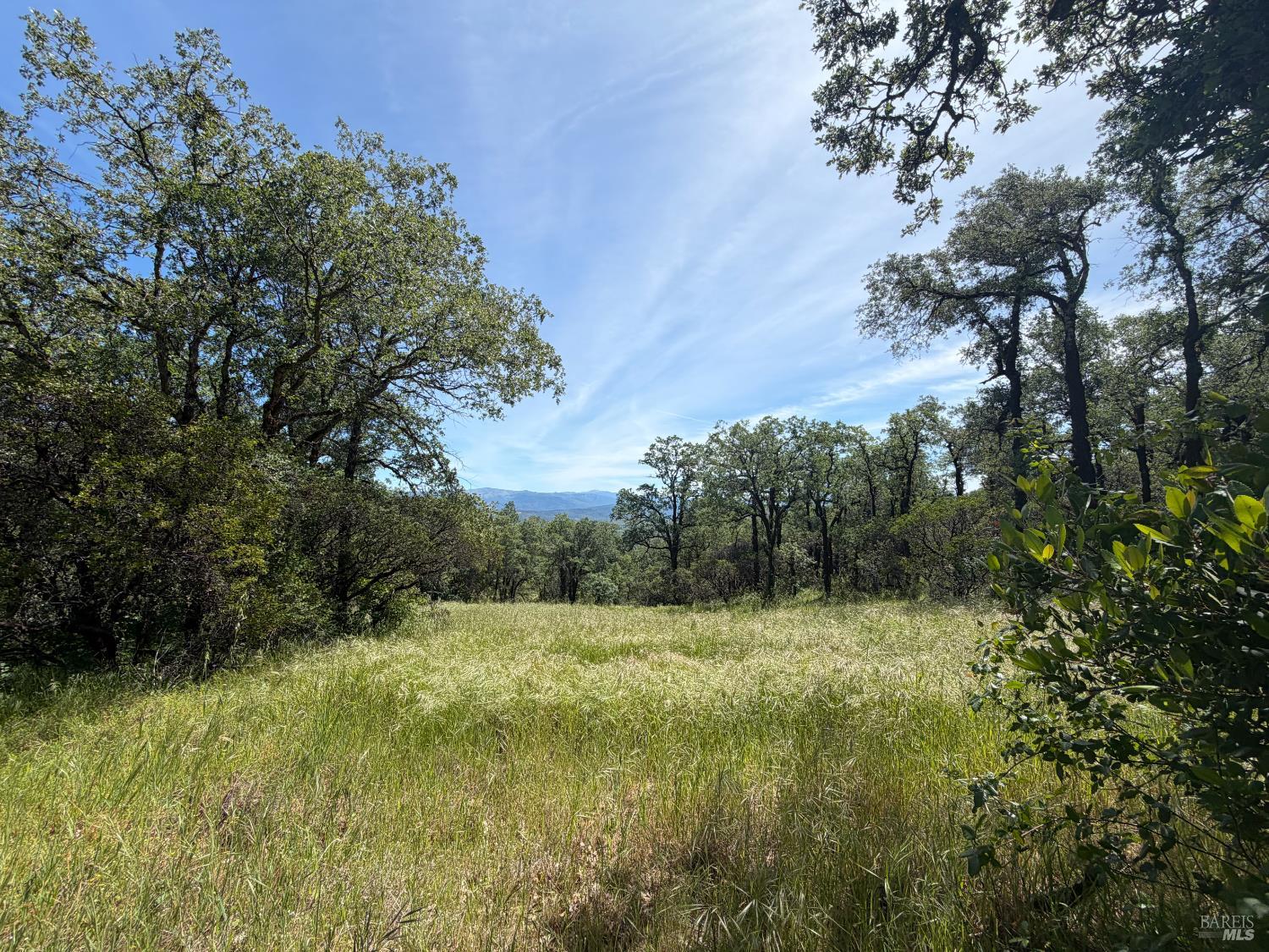 80540 Mina Road Covelo, CA 95428 - Photo 12 of 19