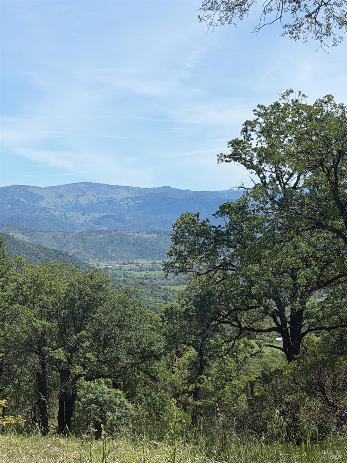 80540 Mina Road Covelo, CA 95428 - Photo 14 of 19