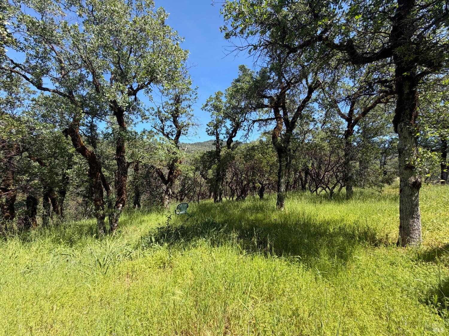 80540 Mina Road Covelo, CA 95428 - Photo 19 of 19