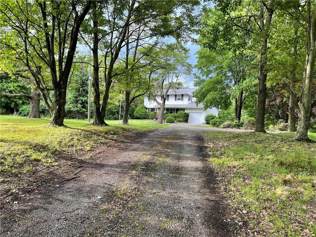 a view of a tree in a yard with a house