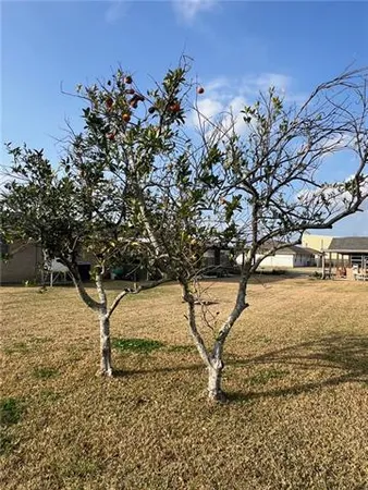 $295,000 | 125 River Oaks Drive, Luling, LA 70070