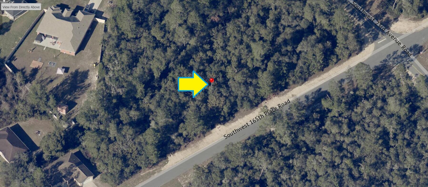 13 Southwest 165th Street Road Ocala, FL 34473 - Photo 3 of 5 a view of a forest with a swimming pool