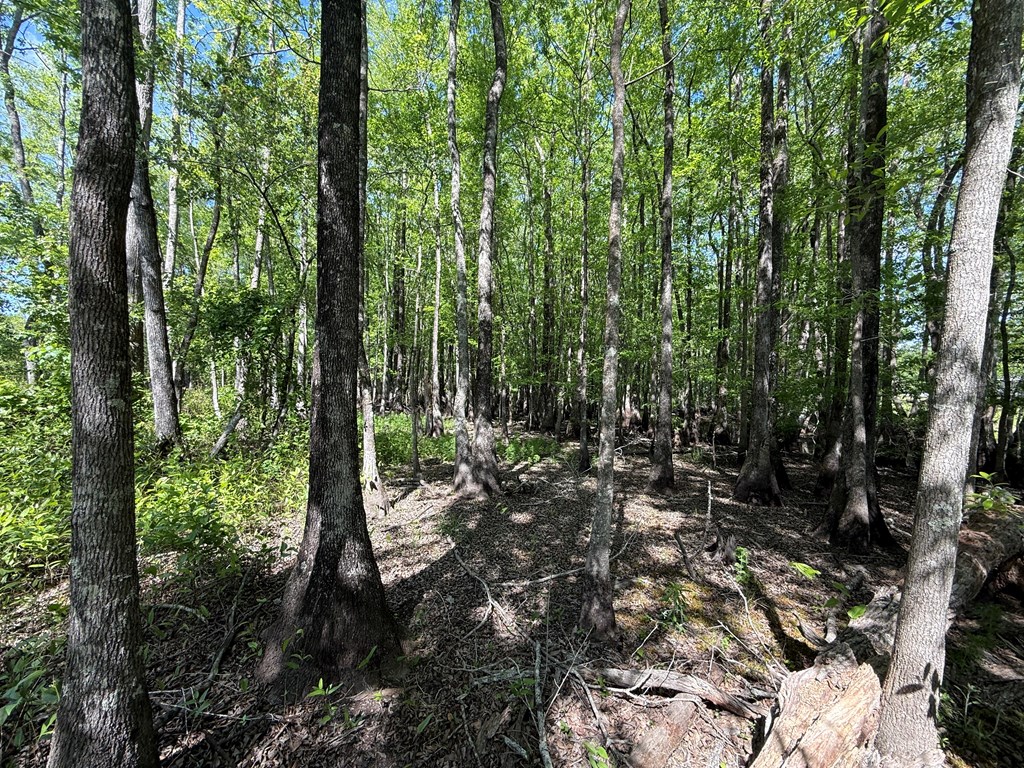 Lot 3 County Road Slocomb, AL 36375 - Photo 17 of 18