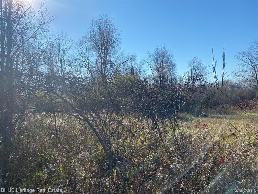 Vl Vl Kleinway Road Fowlerville, MI 48836 - Photo 17 of 17