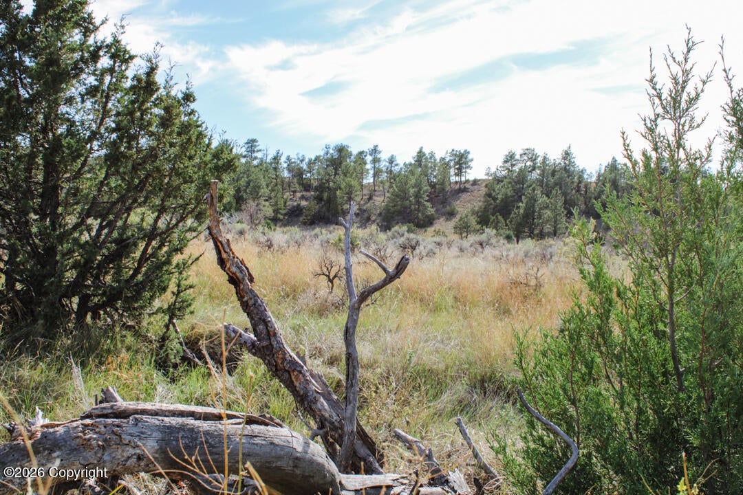 0 Skull Creek Road Osage, WY 82723 - Photo 22 of 51 Gallery Image 22